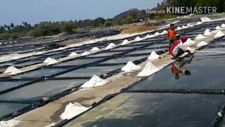 Las Salinas Gro...sal Artesanal Resimi