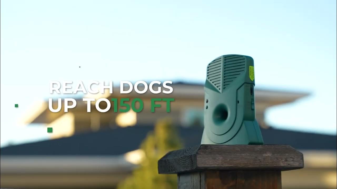 Bark Control Pro The AntiBarking Device YouTube