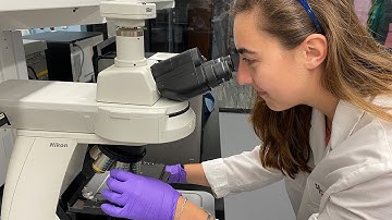 PDI R&D Laboratory Tour