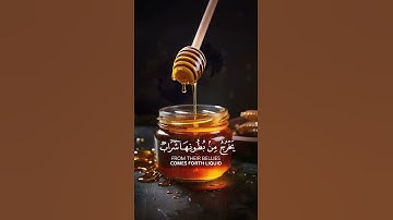 و أوحى ربك إلى النحل ان اتخذي من الجبال بيوتا | الشيخ سعد الغامدي | سورة النحل | 🍯🍯
