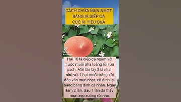 Cách chữa mụn nhọt bằng lá diếp cá