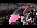 さよなら「ハローキティ新幹線」 500系新幹線V2編成ラストラン 2026.5.17 Farewell SHINKANSEN 500 Series "Hello Kitty"