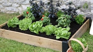 13 mô hình trồng rau sạch tại nhà (phần 1)