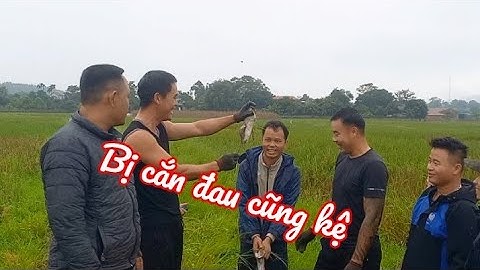 Dùng tay không bắt chuột và được cả rắn hổ mang