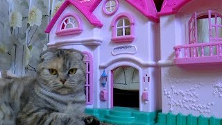 КОТЕНОК 🐈 🏰 ИГРАЕТ Смешные Коты и Котята NEW Приколы с Котами КОТЕНОК 🐈 🏰 ИГРАЕТ Смешные Коты и Котята NEW Приколы с Котами