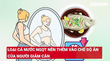 Loại cá nước ngọt nên thêm vào chế độ ăn của người giảm cân | Báo Lao Động