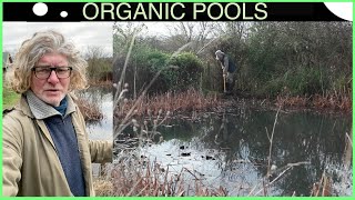 Dull as Ditch Water  Organic Pool Maintenance