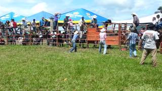 JARIPEO RANCHERO EN PIEDRA  ANCHA SAN PEDRO TEUTLA EN HONOR A LA VIRGEN DEL REFUGIO