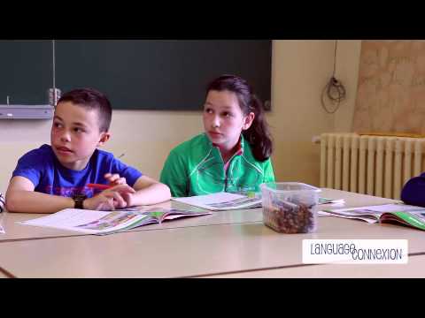 Cours anglais Enfants à l'Ecoles | Language Connexion