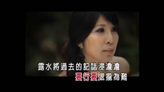 【陳雷&陳思安】懷念台語精選組合101 #無尾巷 # 人情