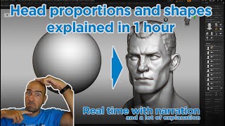 Proportions and shapes of the human head in 1 hour