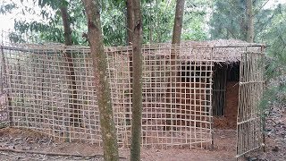 Primitive technology:The Big Bird Enclosures!-Primitive life-wilderness