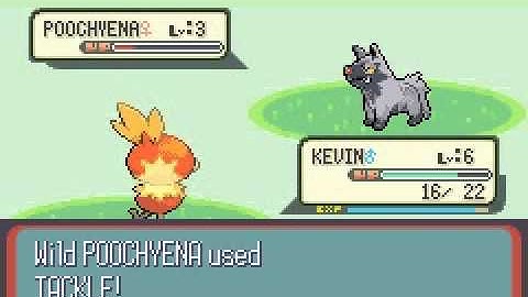 Pokemon Ruby Walkthrough Part 2 - First Rival Battle