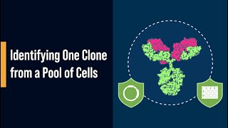 Identifying One Clone from a Pool of Cells