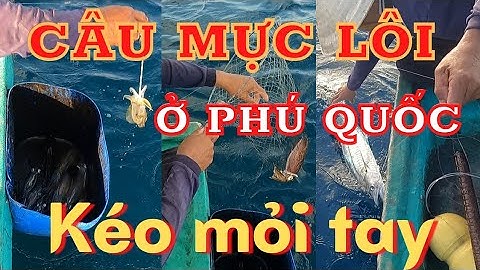 CÂU MỰC LÔI Ở PHÚ QUỐC // 2 ĐÊM TRÊN BIỂN // KÉO MỰC MỎI TAY // ĐƯỢC THÊM CÁ THU.