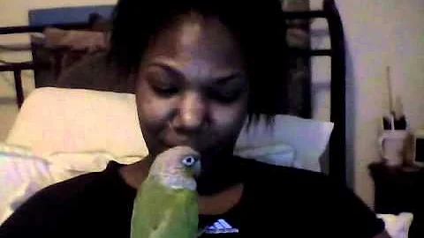 Bingo & Me