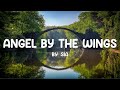 Angel By The Wings - Sia (Lyrics) 🎵