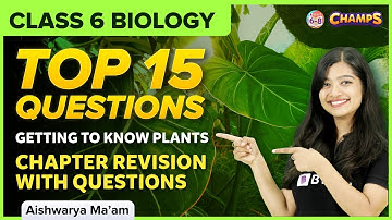Top 15 Questions from Getting to Know Plants | Class 6 | Science | BYJU