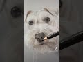 Watch These Pets Get Immortalized in Art!