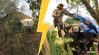 Clearing Land on Our Abandoned Farm in Portugal (over 18 months) - #13