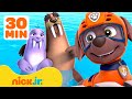PAW Patrol Wally Walinda S Best Water Moments W Zuma 30 Minute Compilation Nick Jr