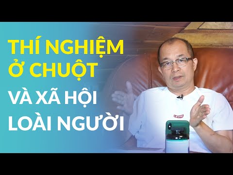 Video: Mọi điều Google biết về bạn: 6 liên kết bí mật