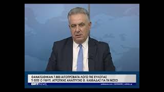 Ευλογιά: Στις 7.800 οι θανατώσεις αμνοεριφίων στην Ηλεία