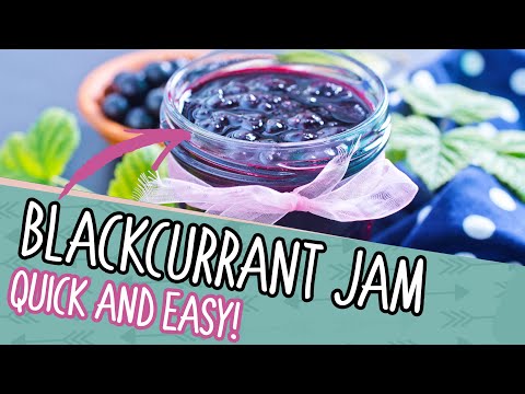 How to make black currant jam
