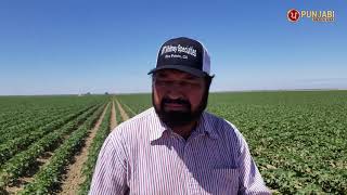 Avtar Grewal Successful Farmer I  Kulwant Dhalian  I  Punjabi Media USA