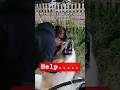 Eating Dog Prank Gone Wrong 😂🐶 Funny Reaction #shorts #dog