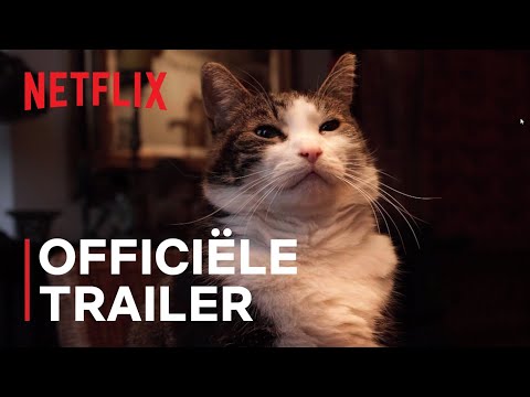 Poeslief: Een Ode Aan De Kat | Trailer ?