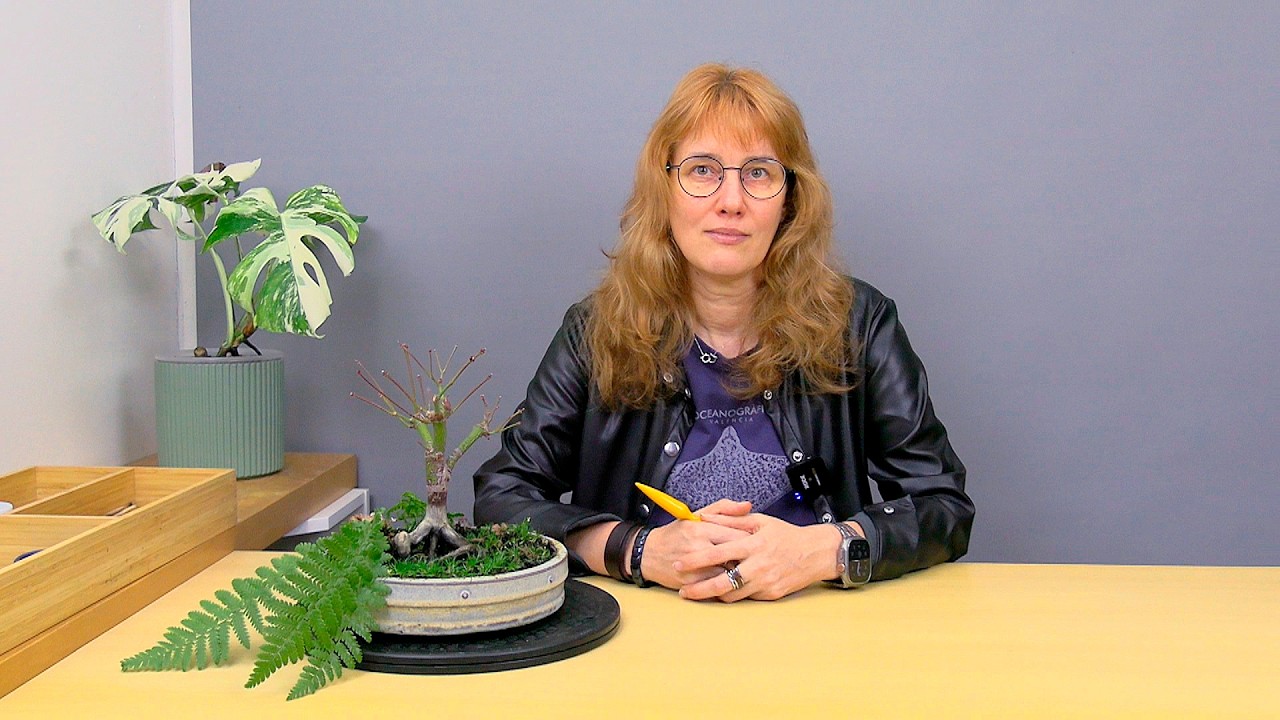 Бонсай из клена (ч.10).