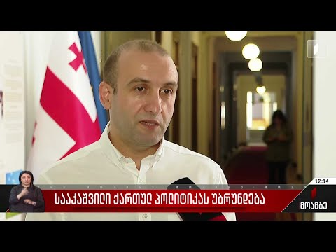 სააკაშვილი ქართულ პოლიტიკას უბრუნდება - შეფასებები პოლიტიკურ სპექტრში