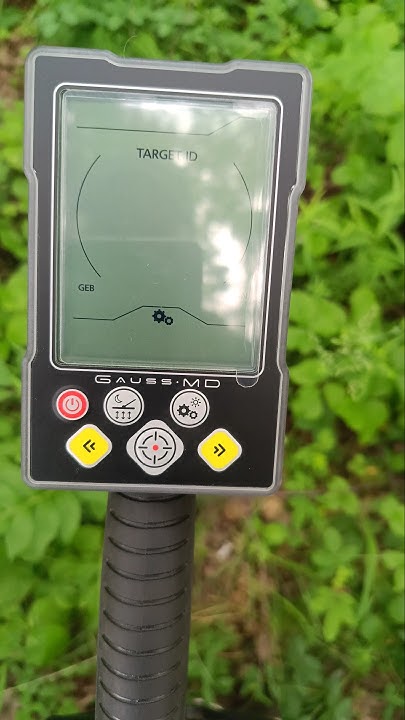 Gauss MD, гаусс мд #metaldetecting #металлоискатель #коп #metaldetector ...