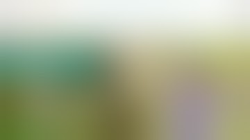 What is a Sales Funnel and Do You Need One?