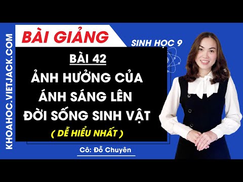 Video Ảnh hưởng của ánh sáng lên đời sống sinh vật - Bài 42... - youtube