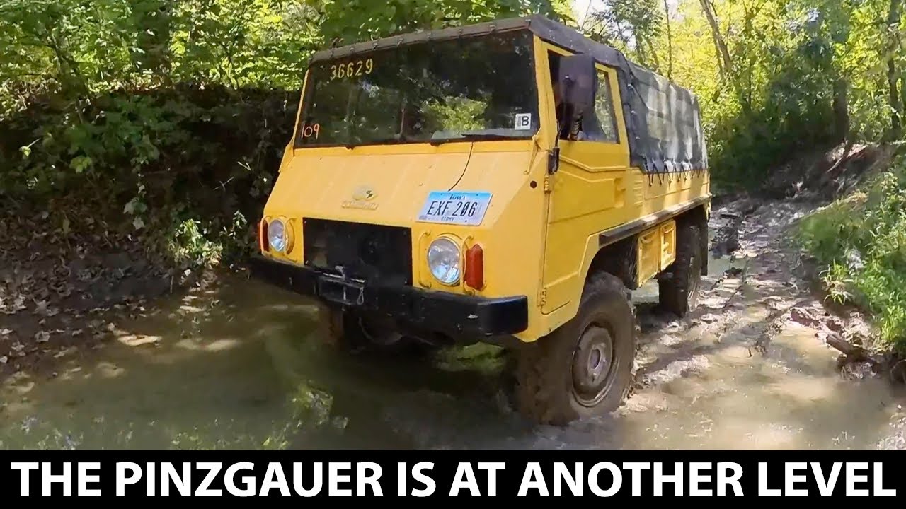 Trying to Keep the Pinzguaer on All Fours