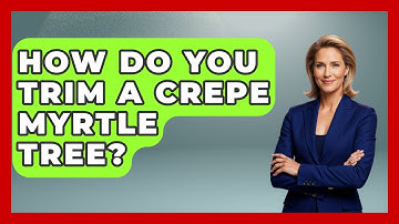 How Do You Trim A Crepe Myrtle Tree? - The Plant Enthusiast