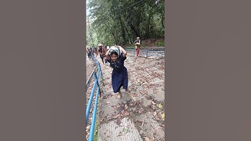 Ayyappa Latest Videos - WhatsApp Status - Sabarimala Updates #ayyappa #sabarimala #ytshorts #yt