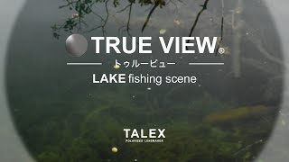 TALEXトゥルービューの見え方　湖編