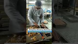 Gizzard peeling machine - Burdis