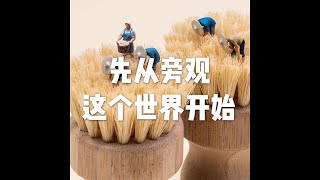 201902 先从旁观这个世界开始25605