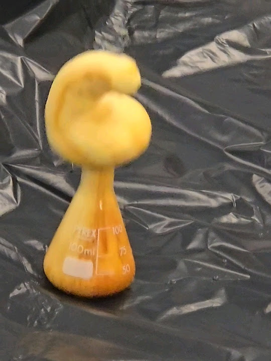elephant toothpaste experiment science shorts chemistry explosion