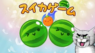 ダブルスイカの向こう側を目指す配信【アドバイスNG】【スイカゲーム】