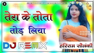 Tera Ke Tota Tod Liya Dj Remix Song || Instagram Viral Haryanvi Song || New Haryanvi Song Dj Remix