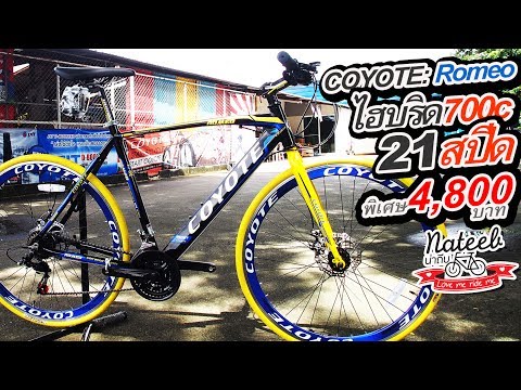 Coyote : Romeo ไฮบริดอัลลอยด์700c ราคา4800บาท