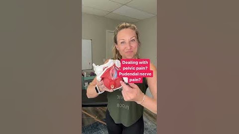 Exercises for pelvic pain #pelvichealth #pelvicfloor #postpartum #csectionrecovery #pelvicpain