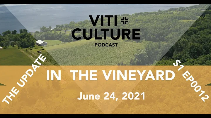 S1 EP0012: In the Vineyard, June 24, 2021