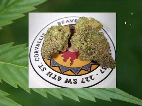 Albany Marijuana Clinics - Best Medical Marijuana ...