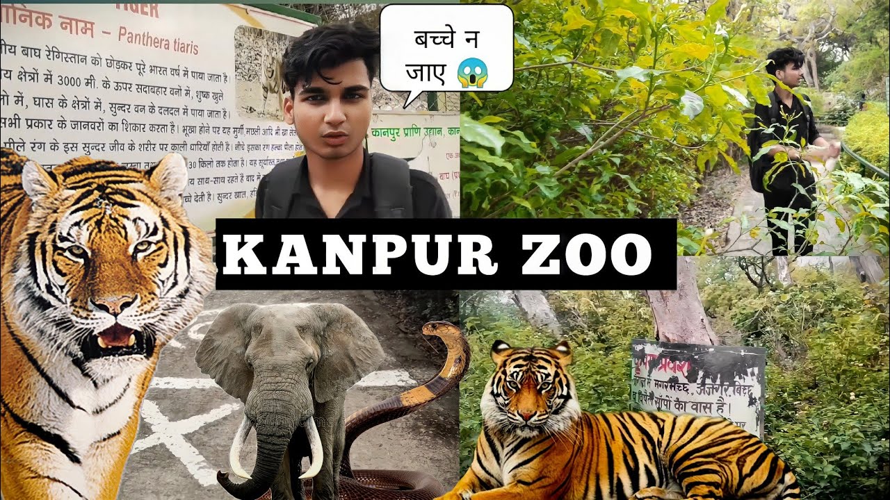 KANPUR ZOO कानपुर चिड़ियाघर 😱😱 KANPUR ZOOLOGICAL PARK YouTube
